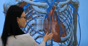 ISO 21001 anatomy